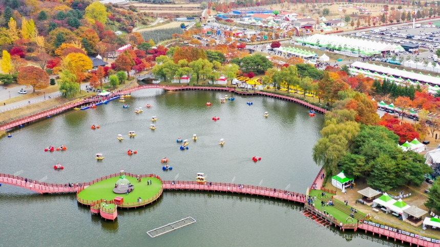 제16회 한우랑사과랑 축제 - 축제장 전경.jpg