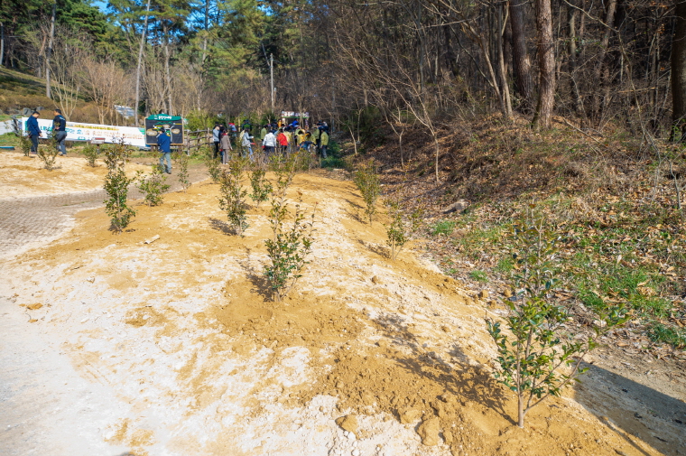 익산시 “식목일 맞아 함께 나무 심어요!” (4).jpg