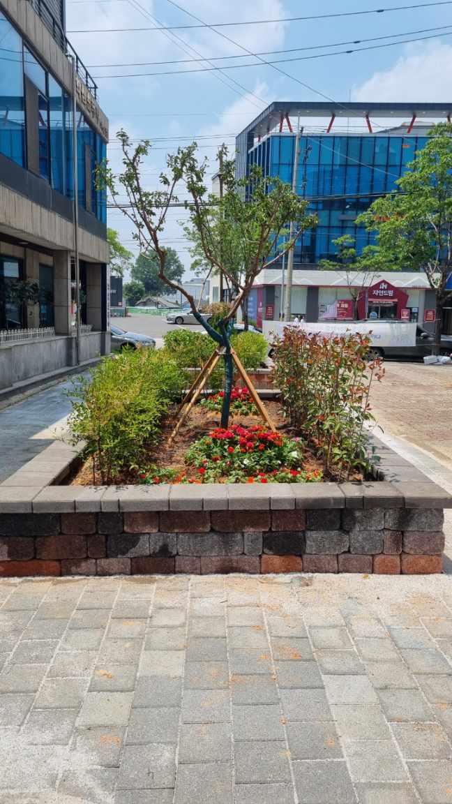 녹색정원도시 익산, 주민들 손으로 동네정원 가꿔 (영등2동) (7).jpeg