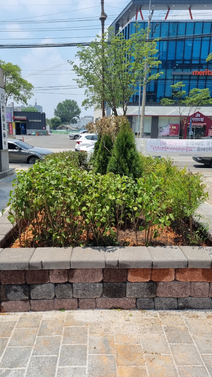 녹색정원도시 익산, 주민들 손으로 동네정원 가꿔 (영등2동) (8).jpeg