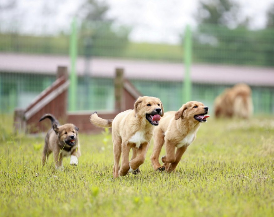 사본 -오수의견관광지 (2).jpg