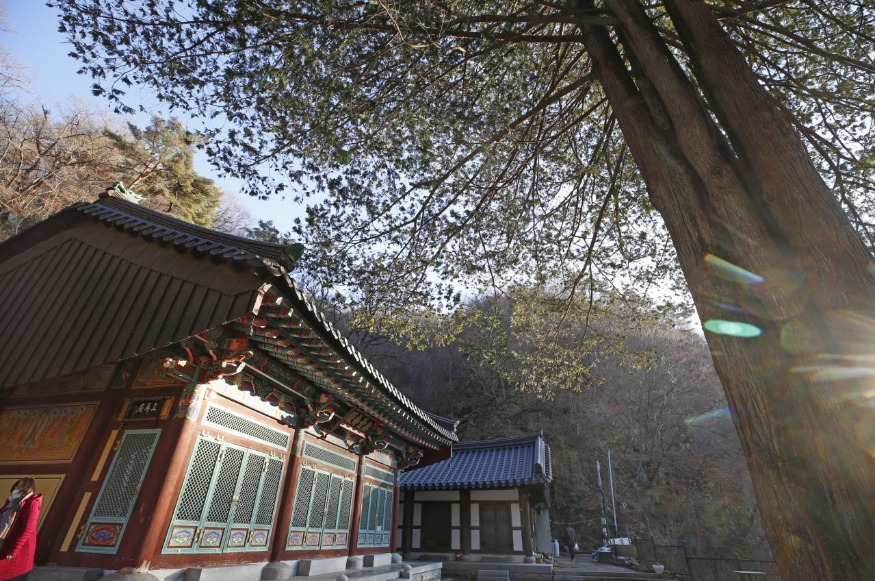 사본 -성수산1_resize.jpg