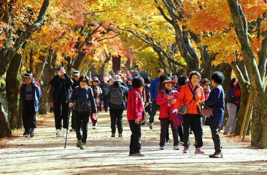 사본 -[기획보도]정읍의 가을은 축제의 계절!(내장산 단풍) (1).jpg