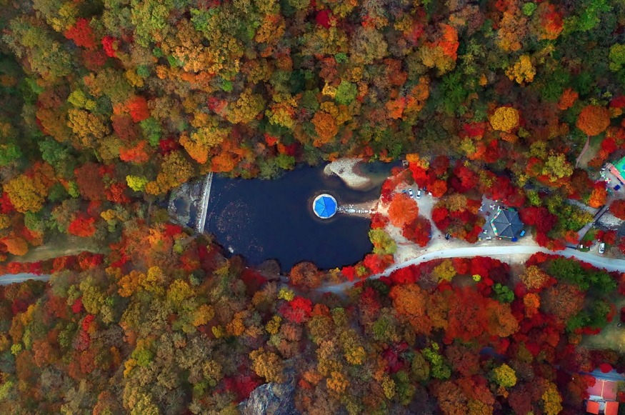 사본 -[기획보도]정읍의 가을은 축제의 계절!(내장산 단풍) (7).jpg