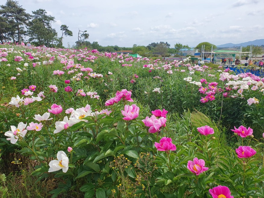 사본 -20240511_101729.jpg