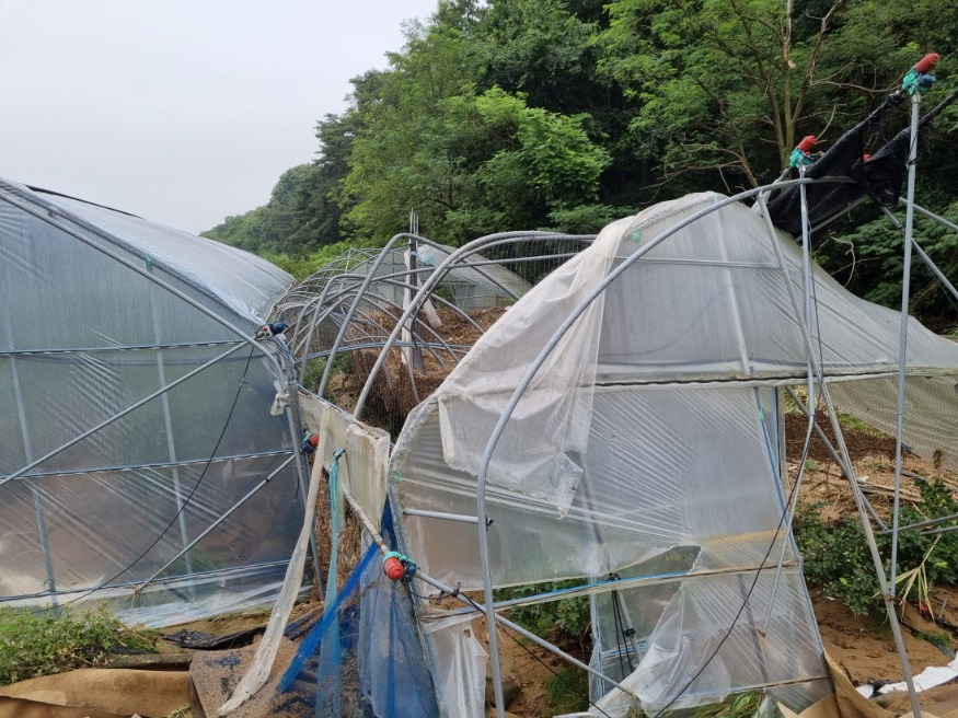 사본 -Resized_20240712_074924.jpg