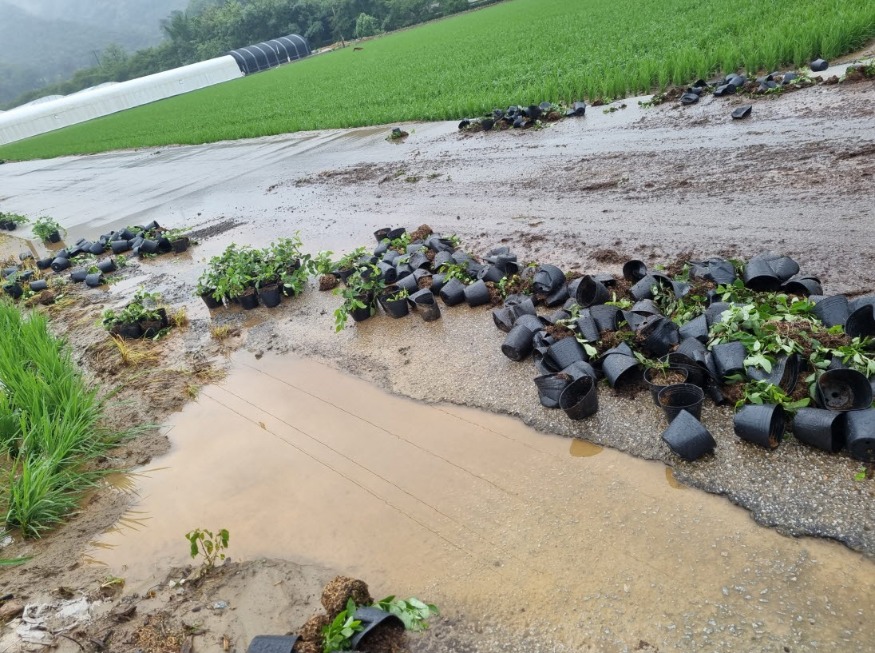 사본 -Resized_20240710_103537.jpg