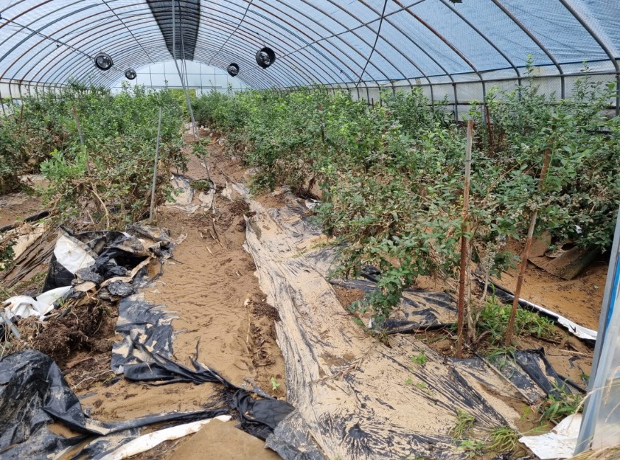 사본 -Resized_20240712_074947.jpg