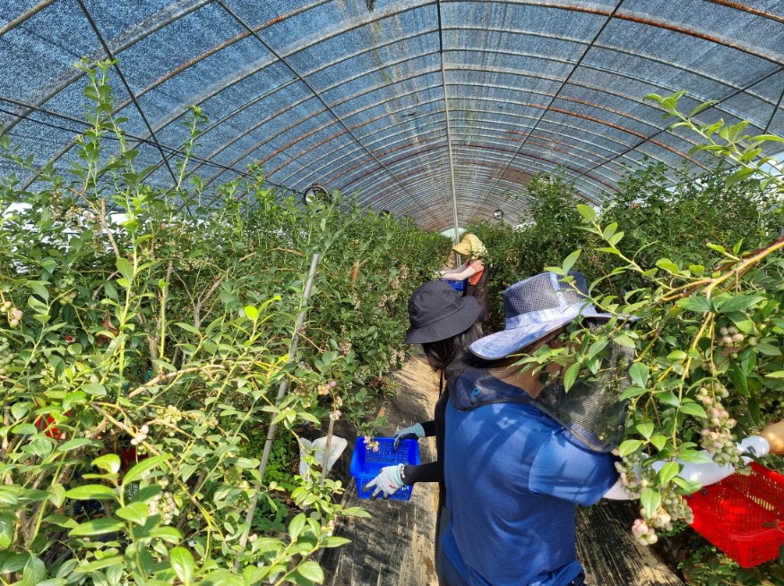 사본 -Resized_20240715_094931.jpg