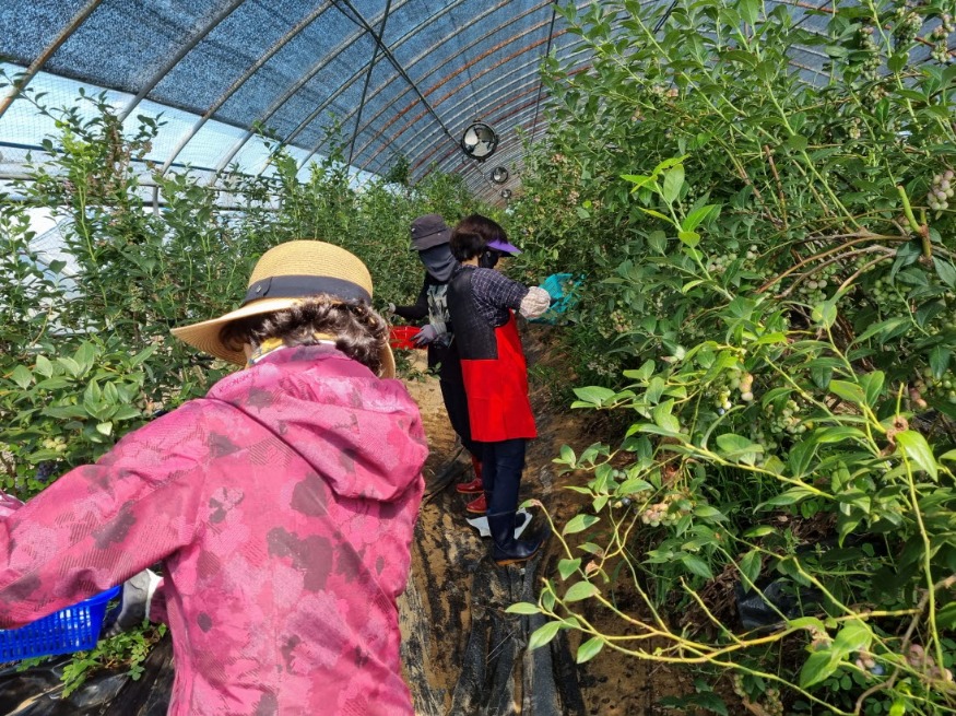 사본 -Resized_20240715_094948.jpg