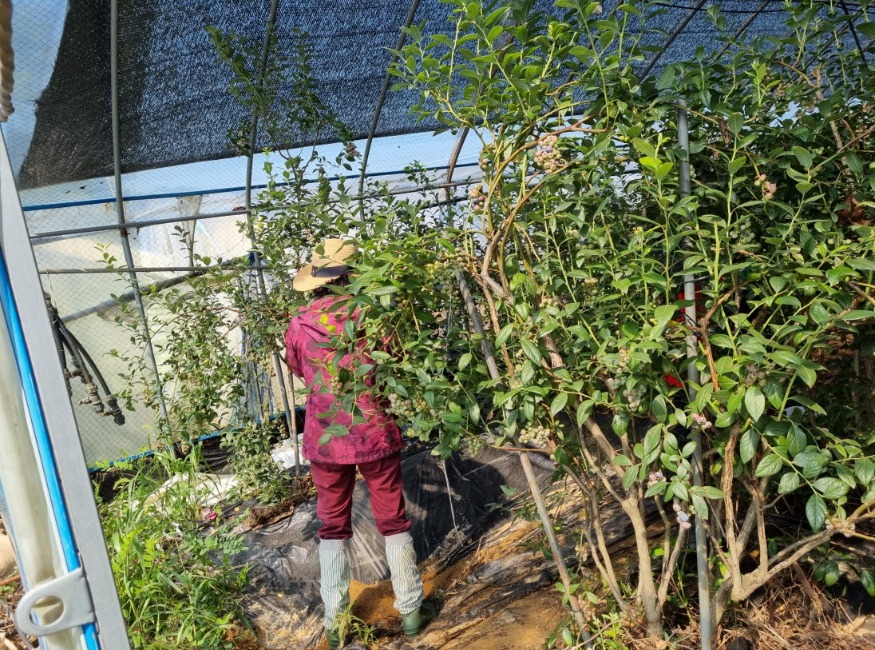 사본 -Resized_20240715_094925.jpg