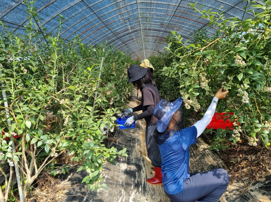 사본 -Resized_20240715_094916.jpg