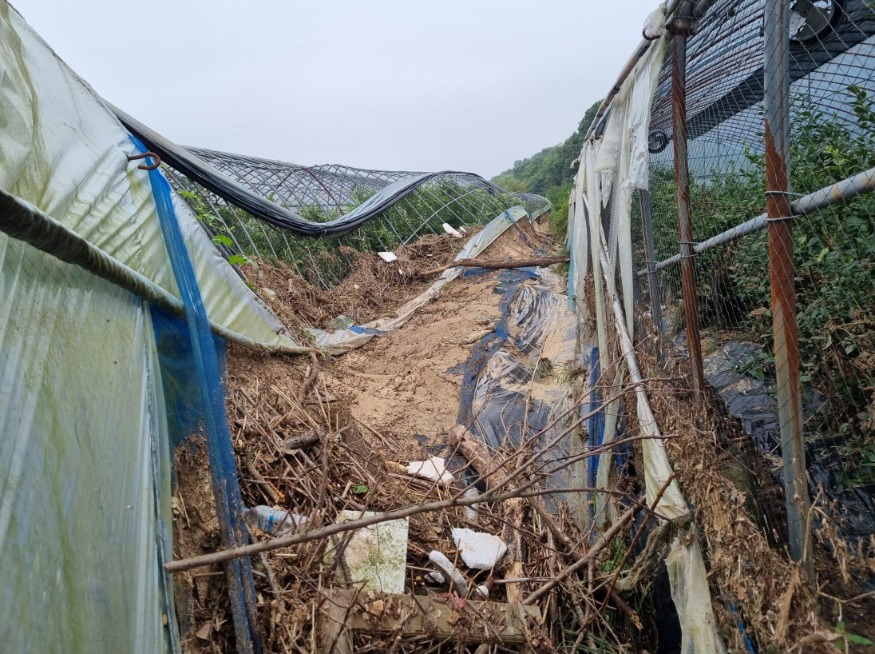 사본 -Resized_20240712_074740.jpg