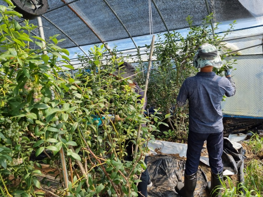 사본 -Resized_20240715_094921.jpg