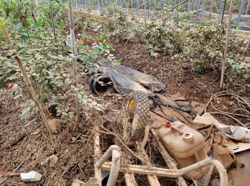 사본 -Resized_20240711_175030.jpg