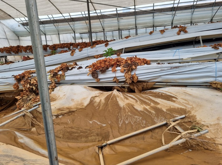 사본 -Resized_20240712_083802(1).jpg