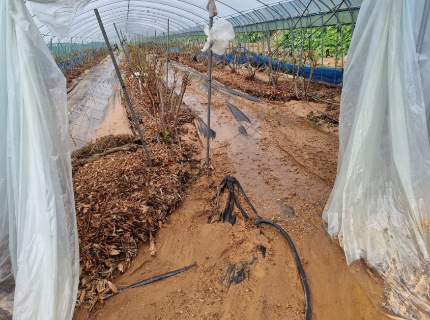 사본 -Resized_20240712_091559.jpg