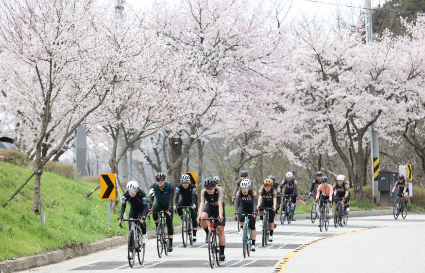 사본 -1. 임실군, 옥정호 벚꽃축제와 함께하는 자전거대회 개최5.jpg