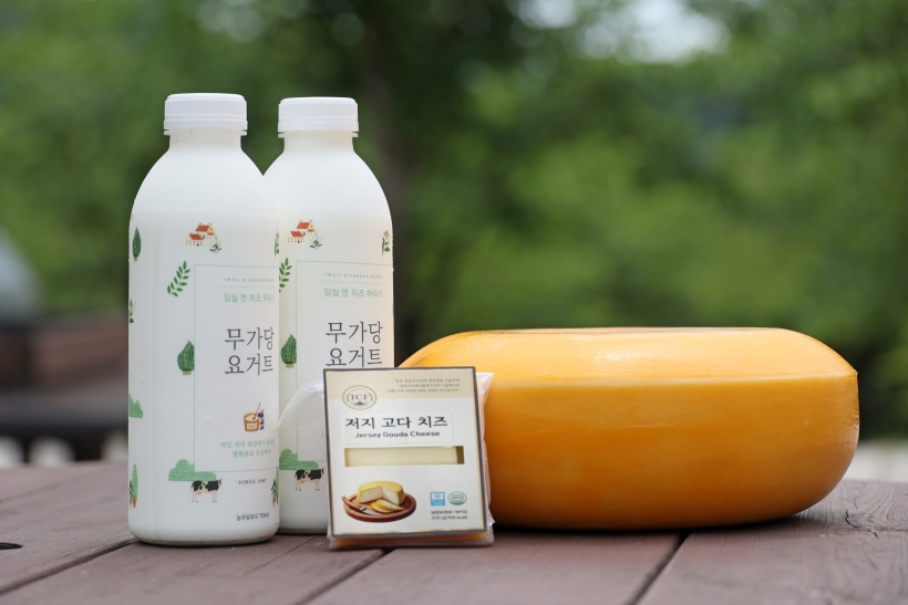 사본 - 저지종 숙성치즈  무가당 요거트.jpg