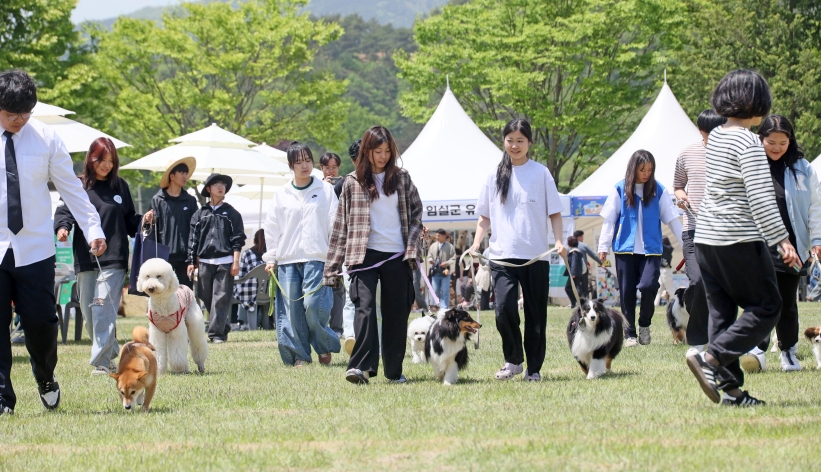 사본 - 오수의견제 (2).jpg