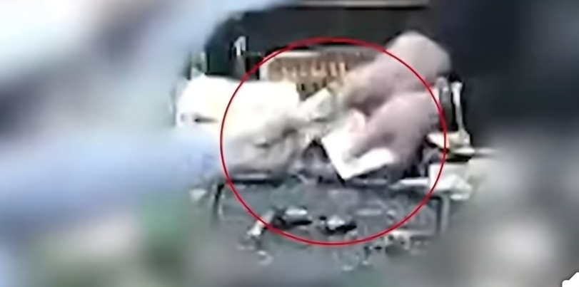 사본 - Screenshot_20260401_185742_Facebook.jpg