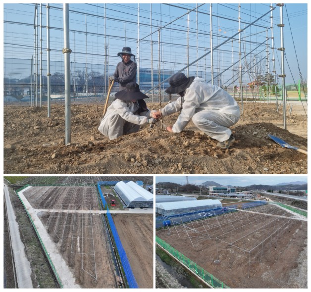 사본 - 1.임실군, “과수 실증시험포” 조성으로 명품 과수산업 육성 박차1.jpg