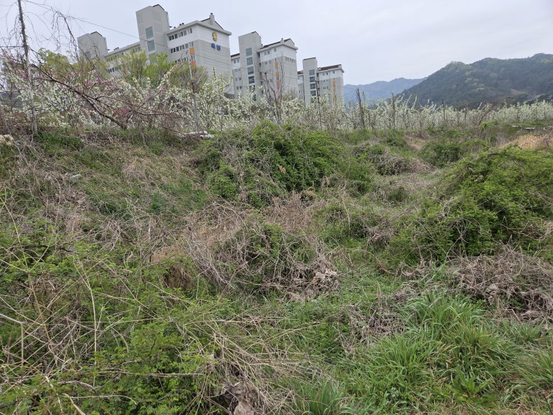 사본 - 20260417_090514 (1).jpg