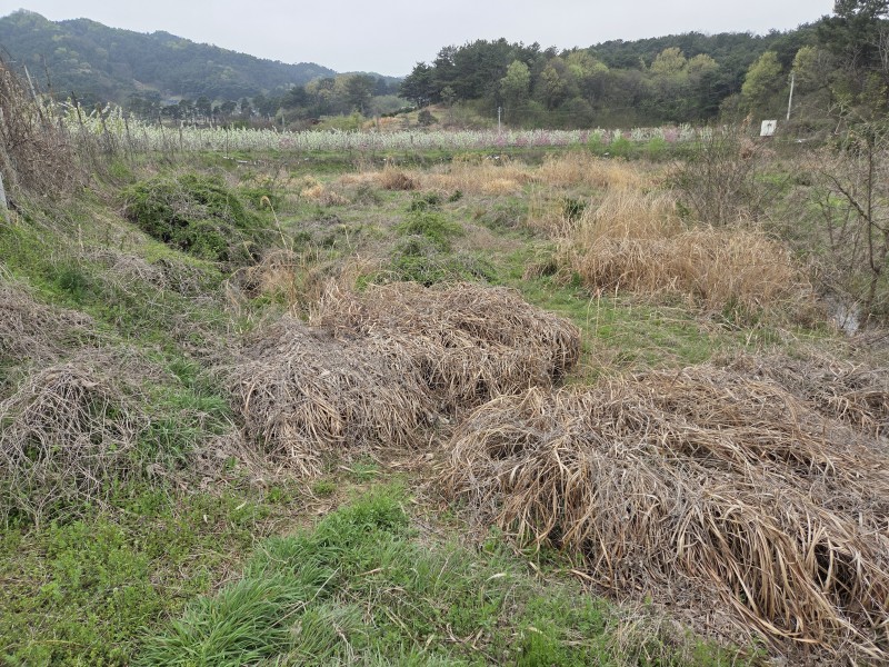 사본 - 20260417_091230.jpg