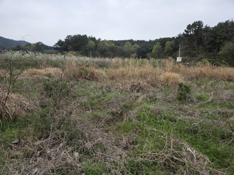 사본 - 20260417_091013.jpg